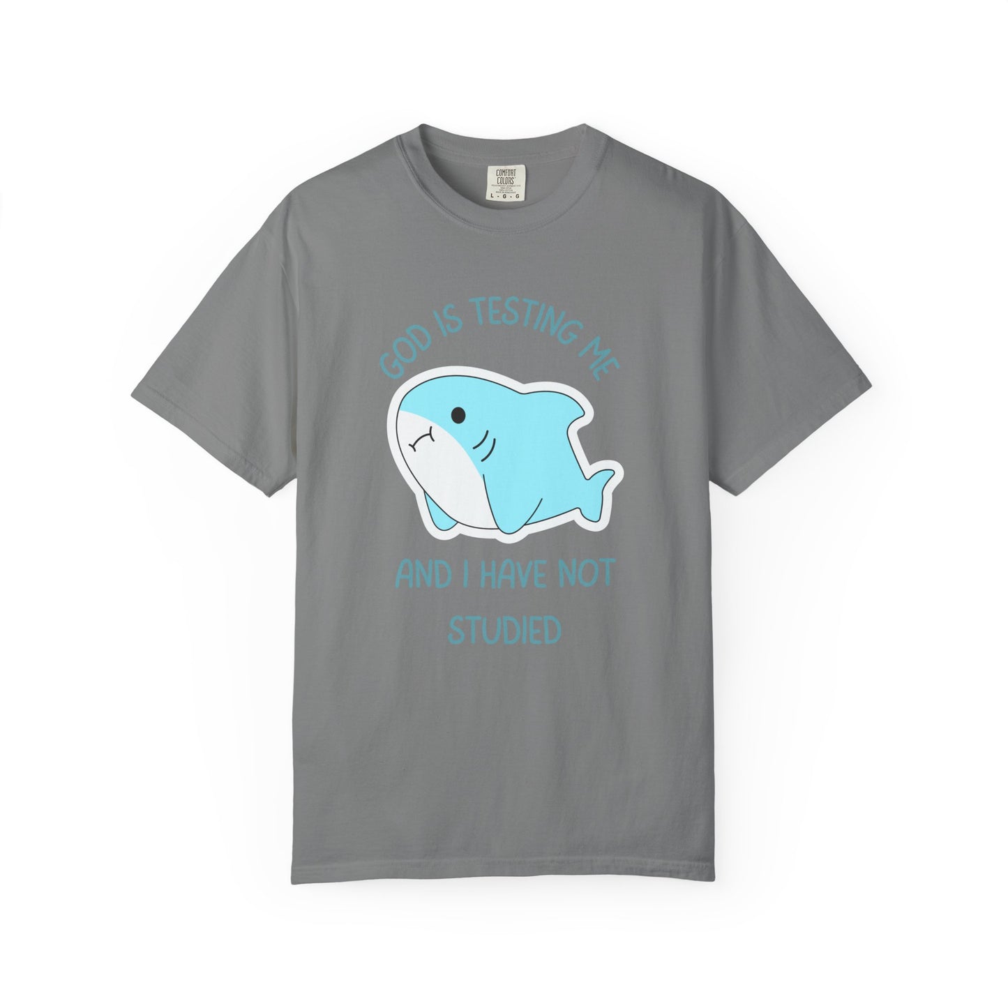 God Is Testing Me And I Have Not Studied Relaxed Fit Tee