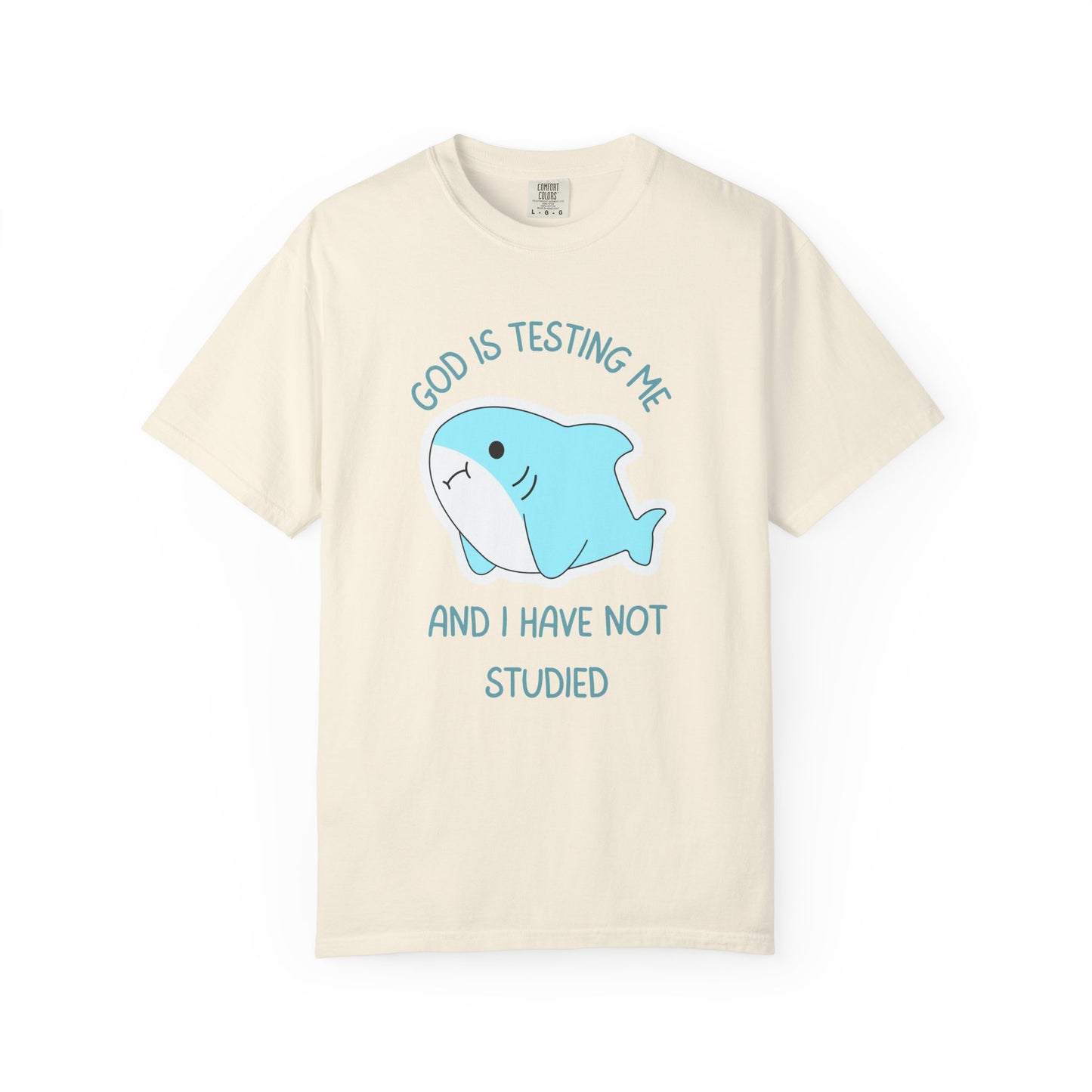 God Is Testing Me And I Have Not Studied Relaxed Fit Tee
