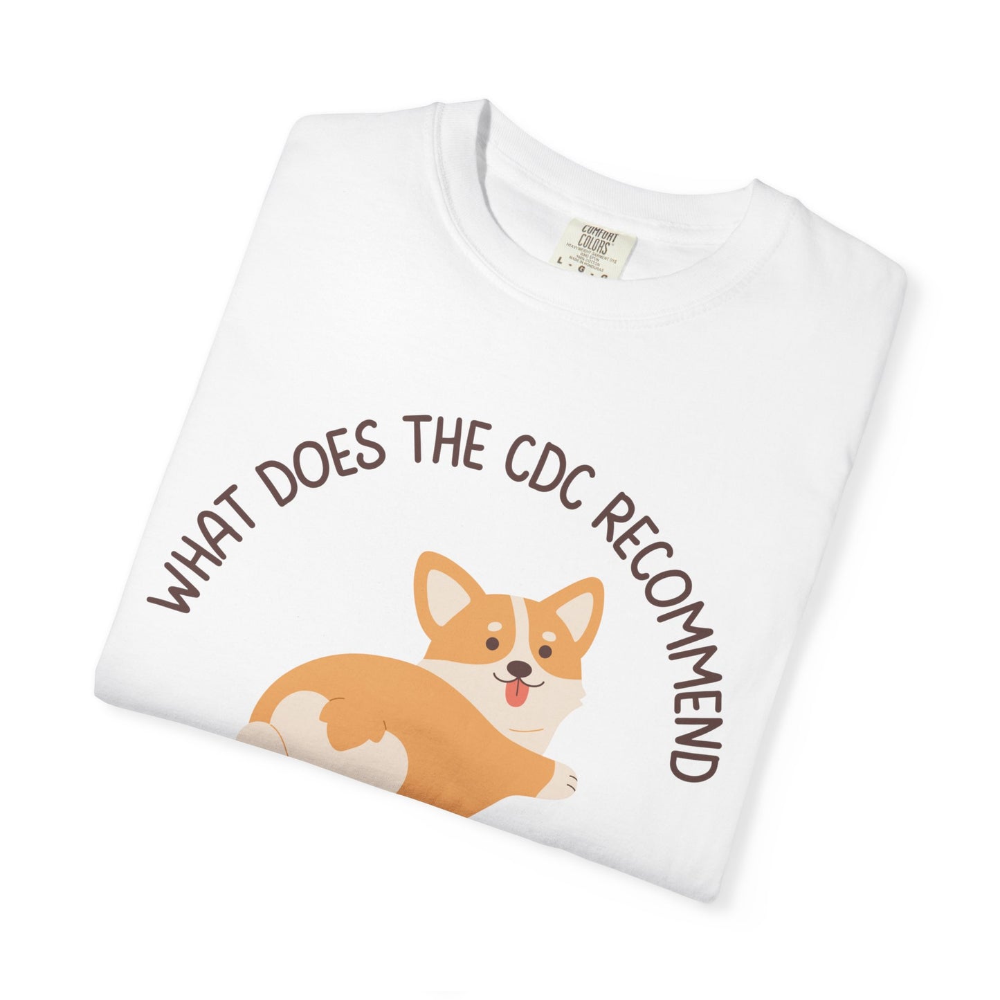 What Does The CDC Recommend I Do With All This Ass? Relaxed Fit Tee